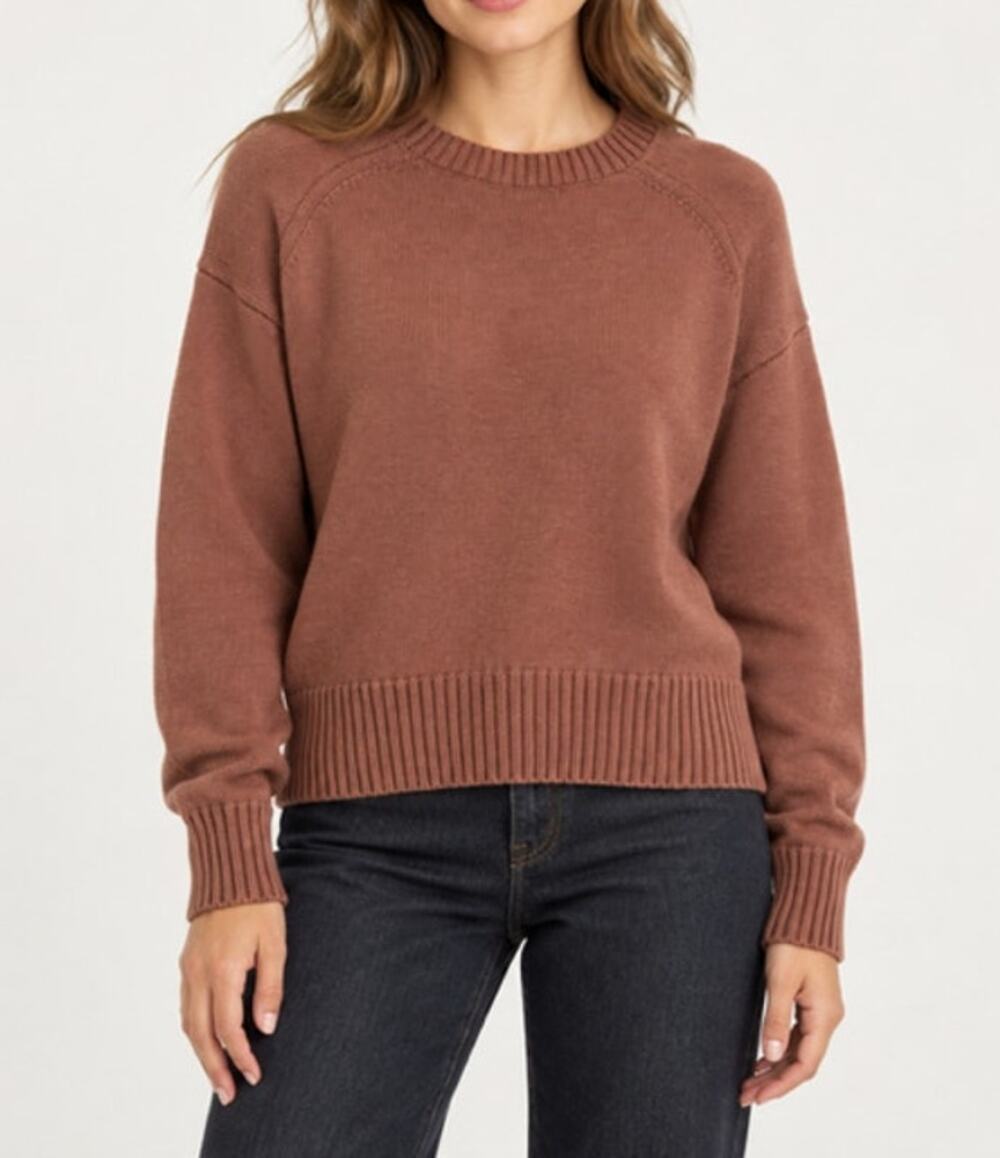 Everlane NWOT The Boxy Sweater 100% Organic Cotton XS Brown